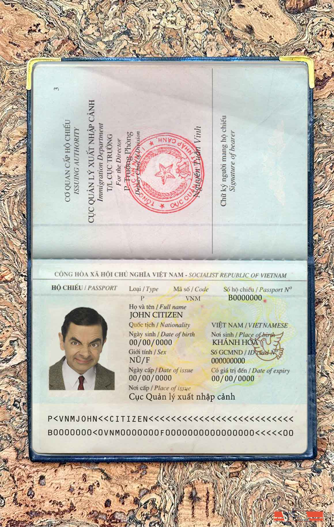 Vietnam passport photo look PSD template